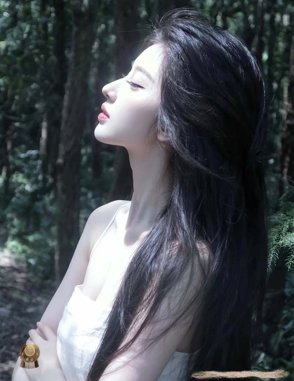 证人纪